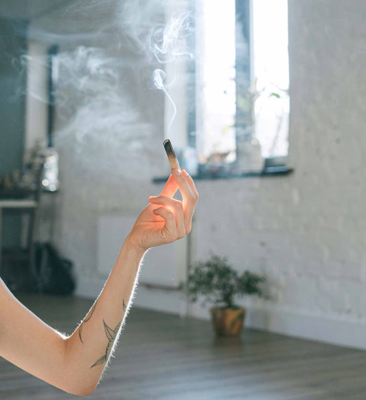 PALO SANTO